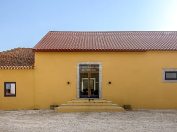 Quinta T9 para Venda em Azeitão (São Lourenço e São Simão)