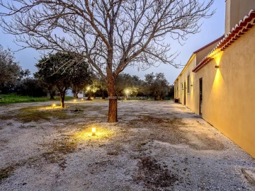 Quinta T9 para Venda em Azeitão (São Lourenço e São Simão)
