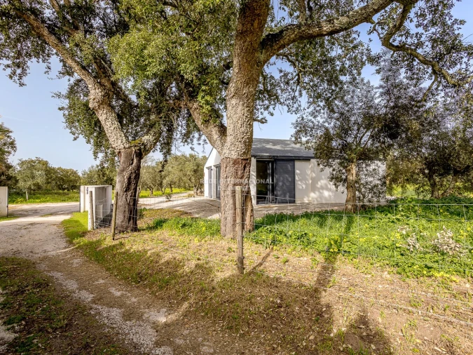 Quinta T9 para Venda em Azeitão (São Lourenço e São Simão) Foto 27