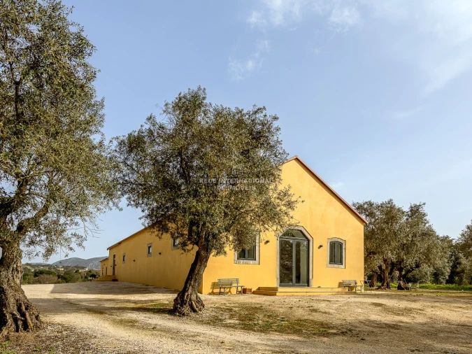 Quinta T9 para Venda em Azeitão (São Lourenço e São Simão) Foto 21