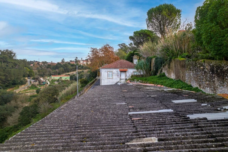 Negócio para Venda em Santa Maria e São Miguel, São Martinho, São Pedro Penaferrim Foto 26