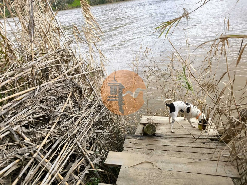 Terreno para Venda em Alcoutim e Pereiro Foto 6