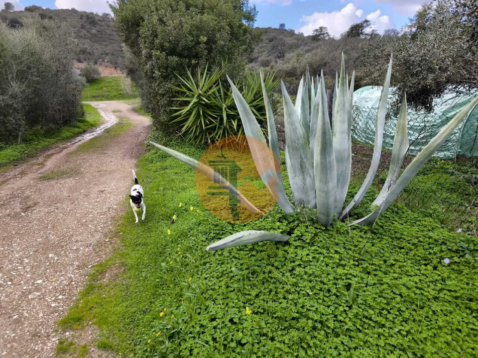Terreno para Venda em Alcoutim e Pereiro Foto 8
