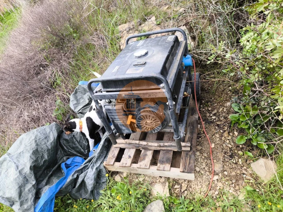 Terreno para Venda em Alcoutim e Pereiro Foto 12