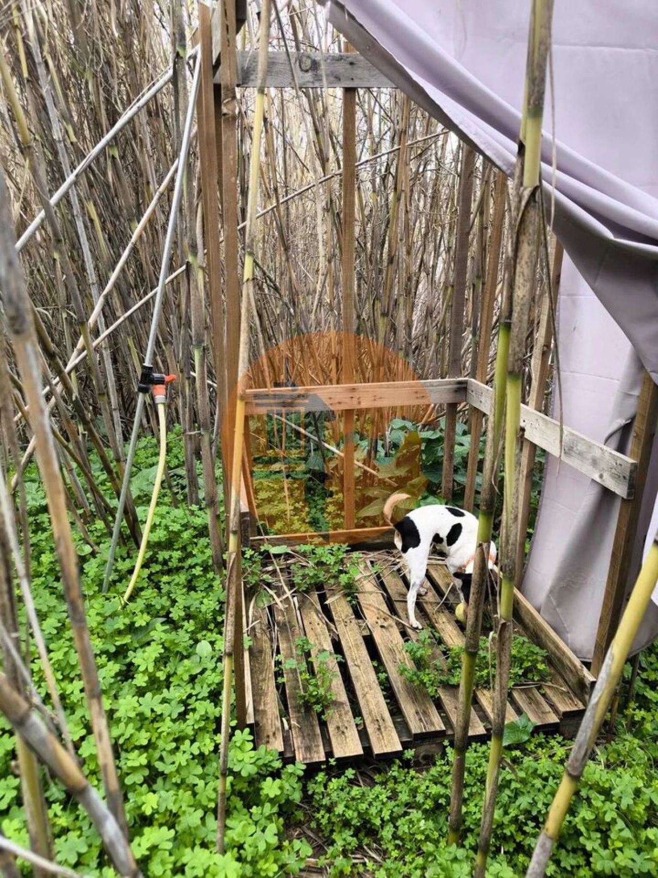 Terreno para Venda em Alcoutim e Pereiro Foto 15