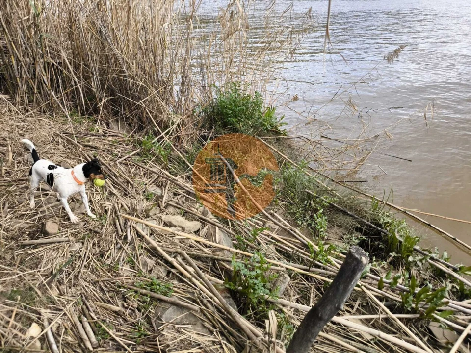 Terreno para Venda em Alcoutim e Pereiro Foto 19