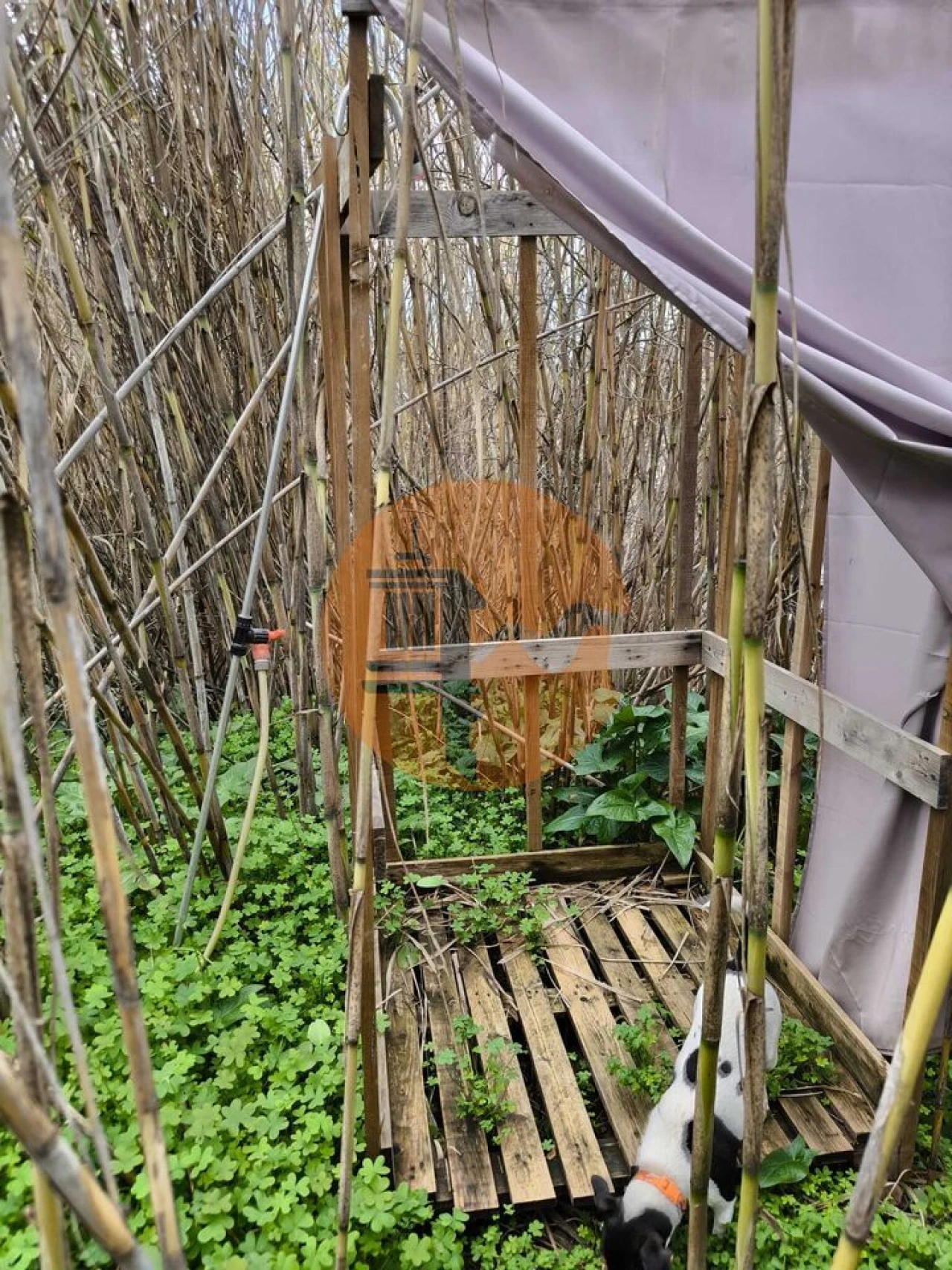 Terreno para Venda em Alcoutim e Pereiro Foto 20