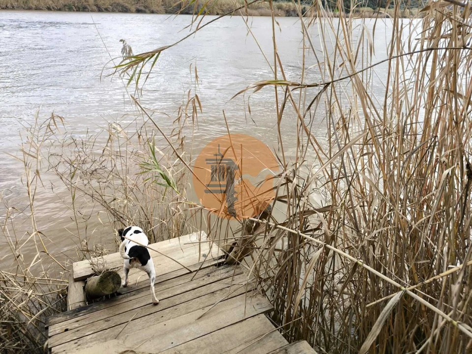 Terreno para Venda em Alcoutim e Pereiro Foto 21
