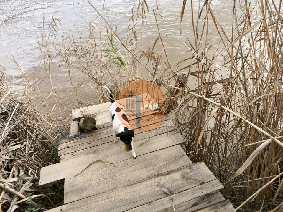 Terreno para Venda em Alcoutim e Pereiro Foto 24