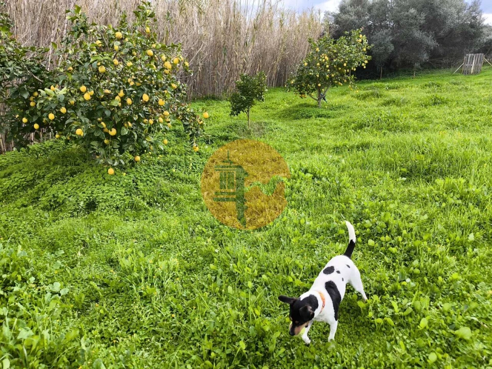 Terreno para Venda em Alcoutim e Pereiro Foto 25