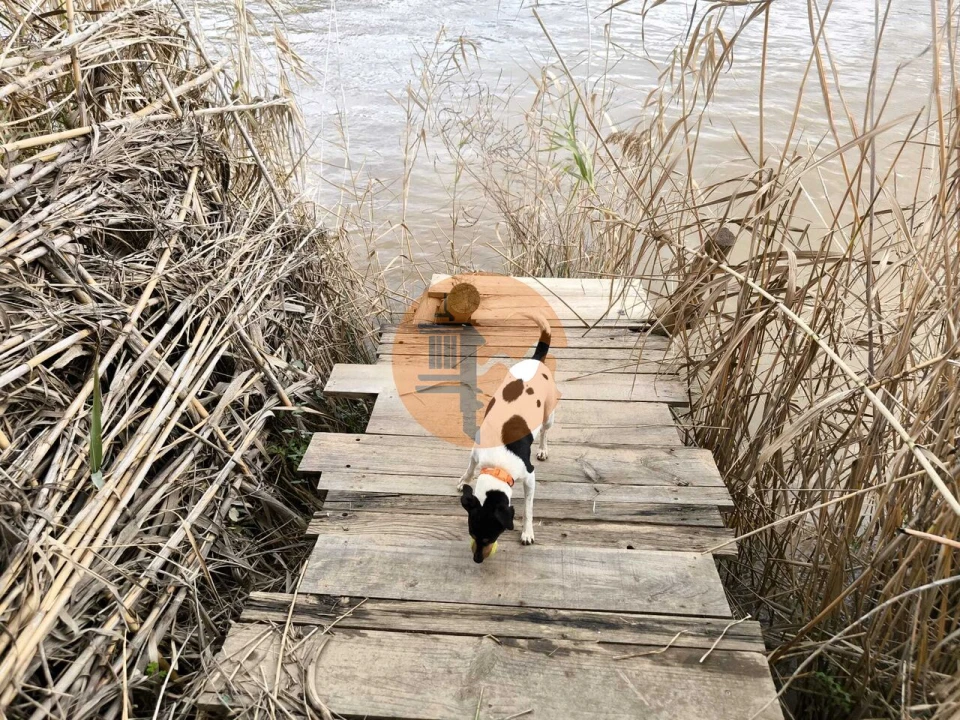 Terreno para Venda em Alcoutim e Pereiro Foto 26