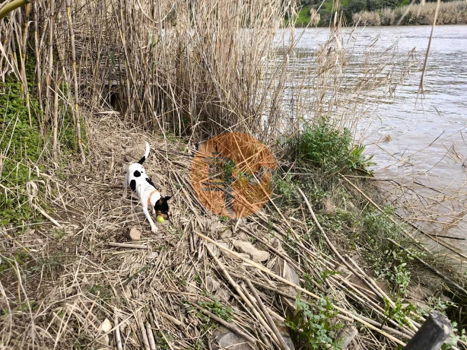 Terreno para Venda em Alcoutim e Pereiro Foto 32