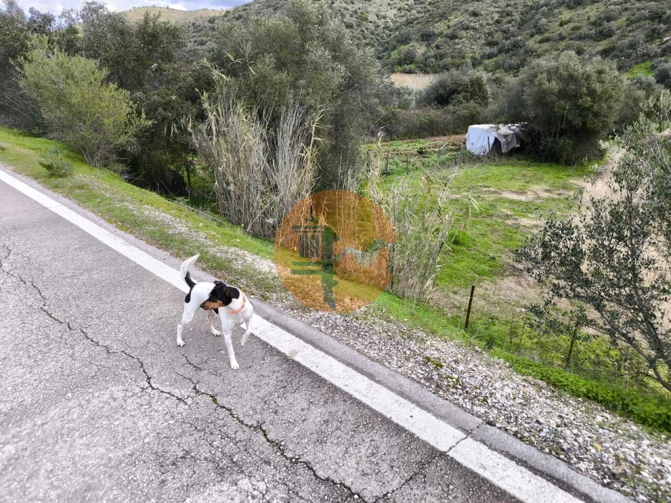 Terreno para Venda em Alcoutim e Pereiro Foto 34