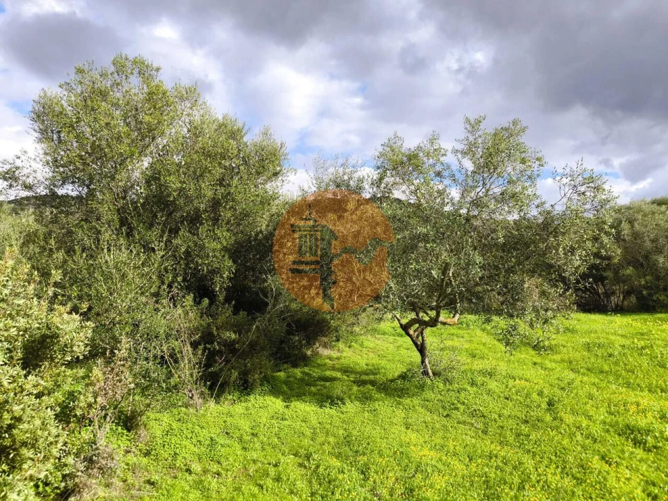 Terreno para Venda em Alcoutim e Pereiro Foto 37