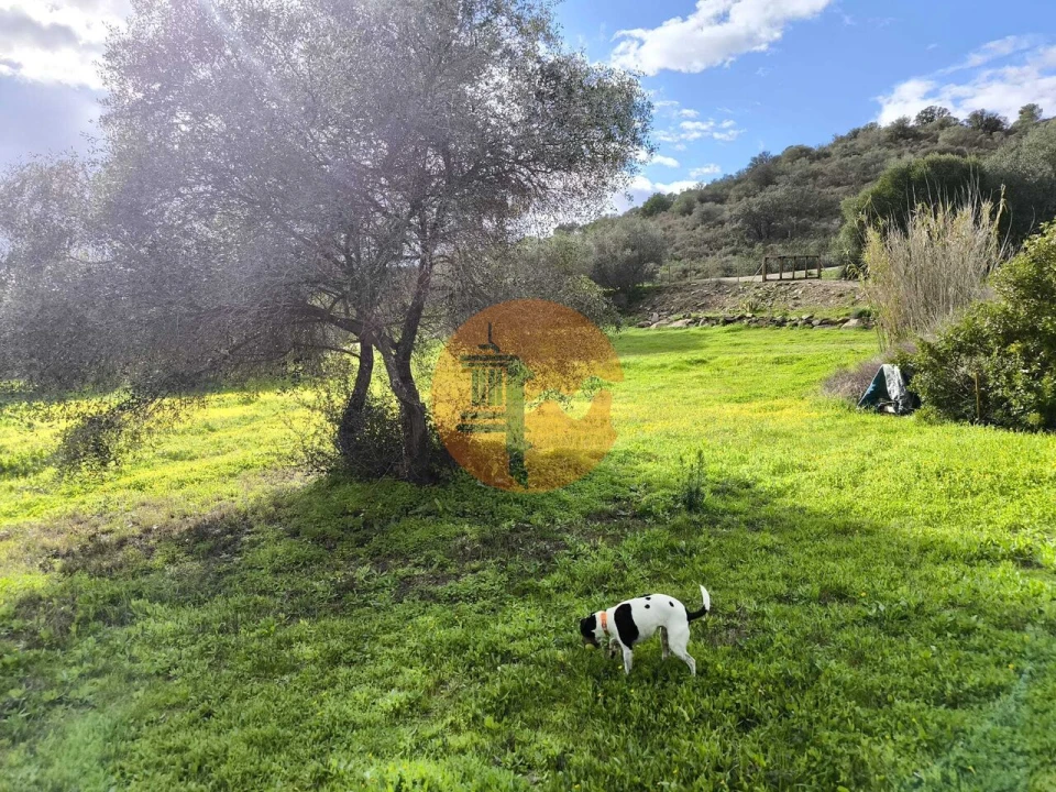 Terreno para Venda em Alcoutim e Pereiro Foto 39