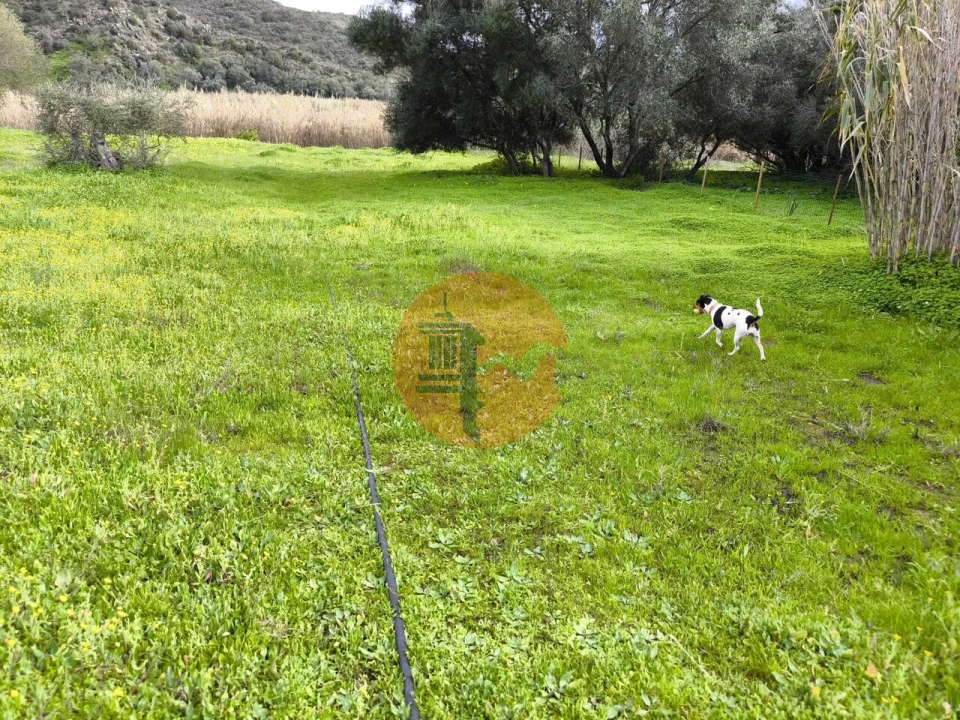 Terreno para Venda em Alcoutim e Pereiro Foto 40