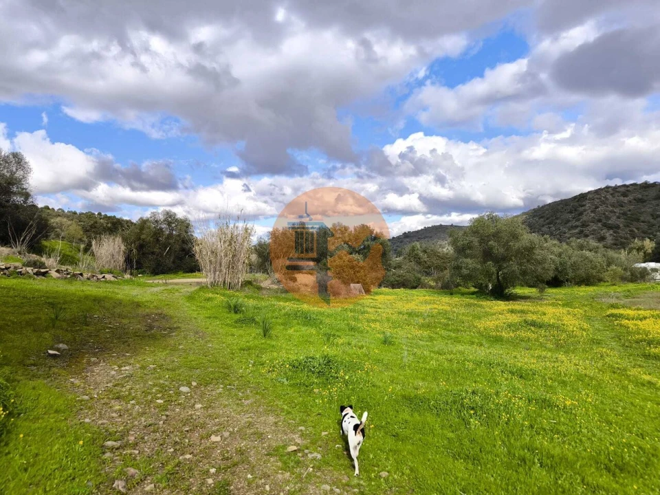 Terreno para Venda em Alcoutim e Pereiro Foto 41