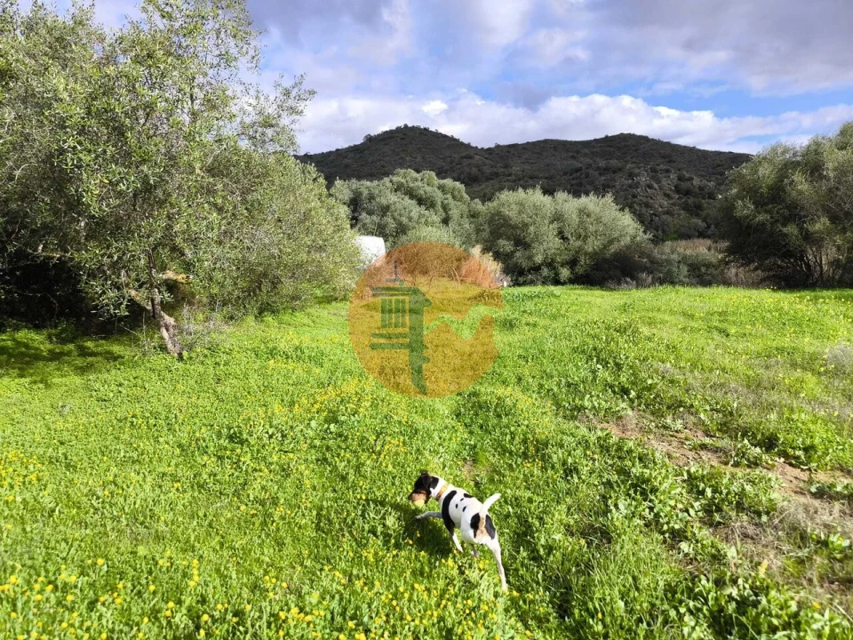 Terreno para Venda em Alcoutim e Pereiro Foto 42