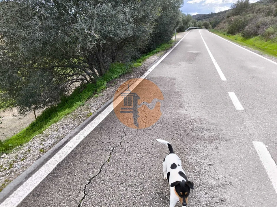 Terreno para Venda em Alcoutim e Pereiro Foto 35