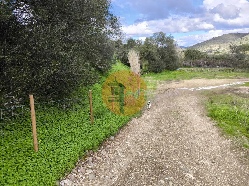 Terreno para Venda em Alcoutim e Pereiro Foto 46