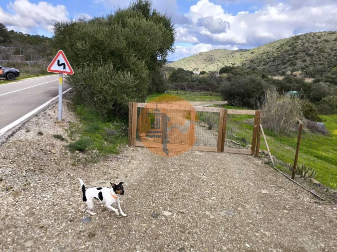 Terreno para Venda em Alcoutim e Pereiro Foto 11