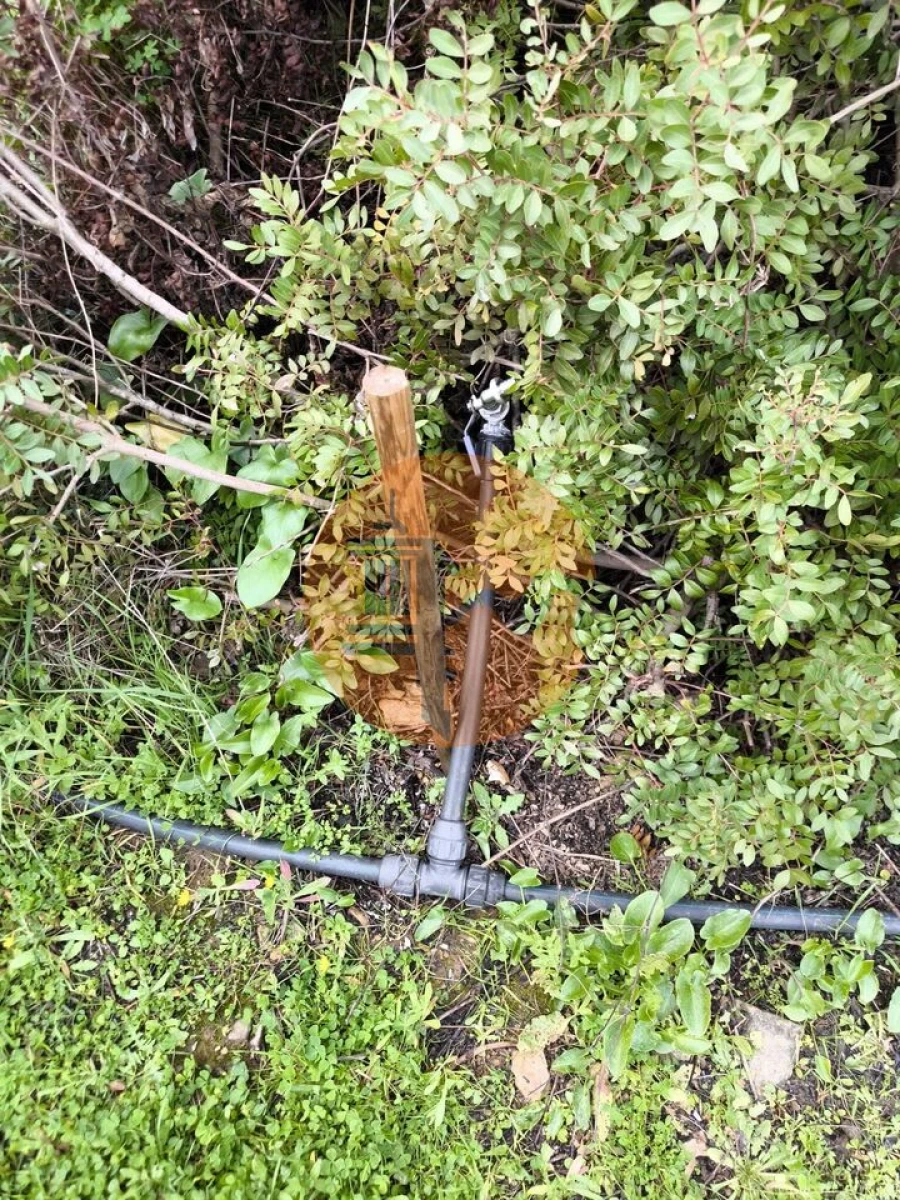 Terreno para Venda em Alcoutim e Pereiro Foto 14