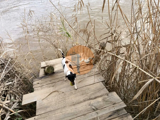 Terreno para Venda em Alcoutim e Pereiro Foto 24