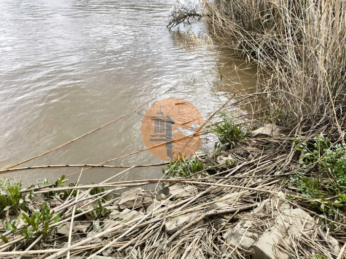 Terreno para Venda em Alcoutim e Pereiro Foto 30