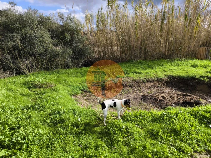 Terreno para Venda em Alcoutim e Pereiro Foto 33