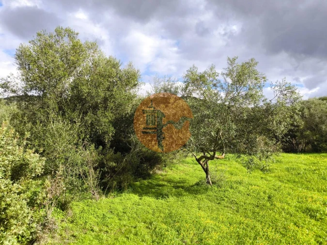 Terreno para Venda em Alcoutim e Pereiro Foto 37