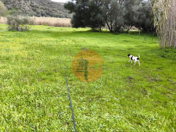 Terreno para Venda em Alcoutim e Pereiro Foto 40