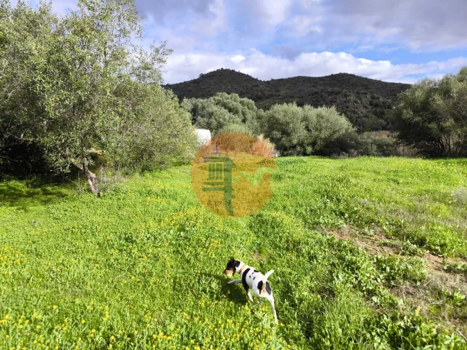 Terreno para Venda em Alcoutim e Pereiro Foto 42