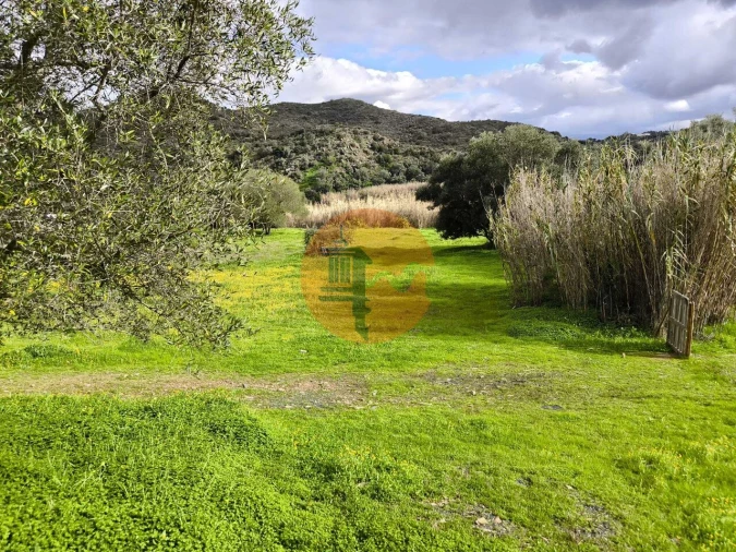 Terreno para Venda em Alcoutim e Pereiro Foto 3