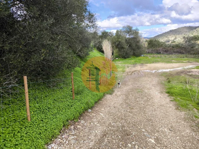 Terreno para Venda em Alcoutim e Pereiro Foto 46