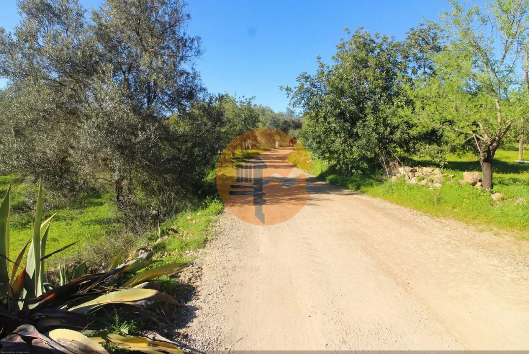 Quinta T2 para Venda em Luz de Tavira e Santo Estêvão Foto 12