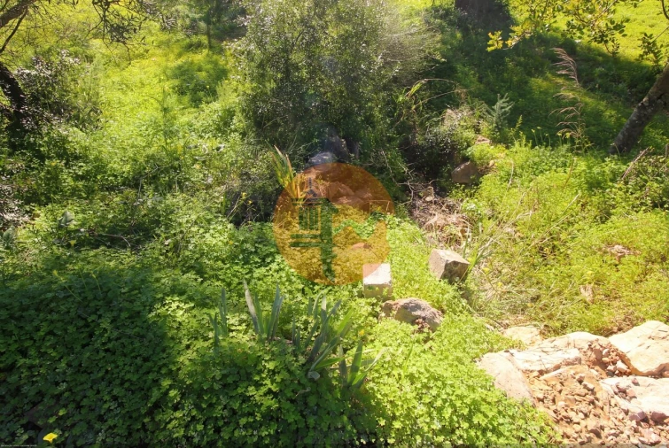 Quinta T2 para Venda em Luz de Tavira e Santo Estêvão Foto 11