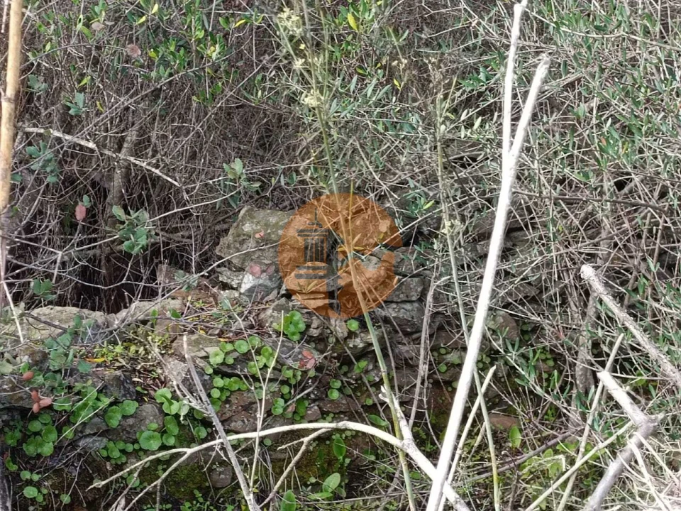 Terreno para Venda em Alcoutim e Pereiro Foto 8