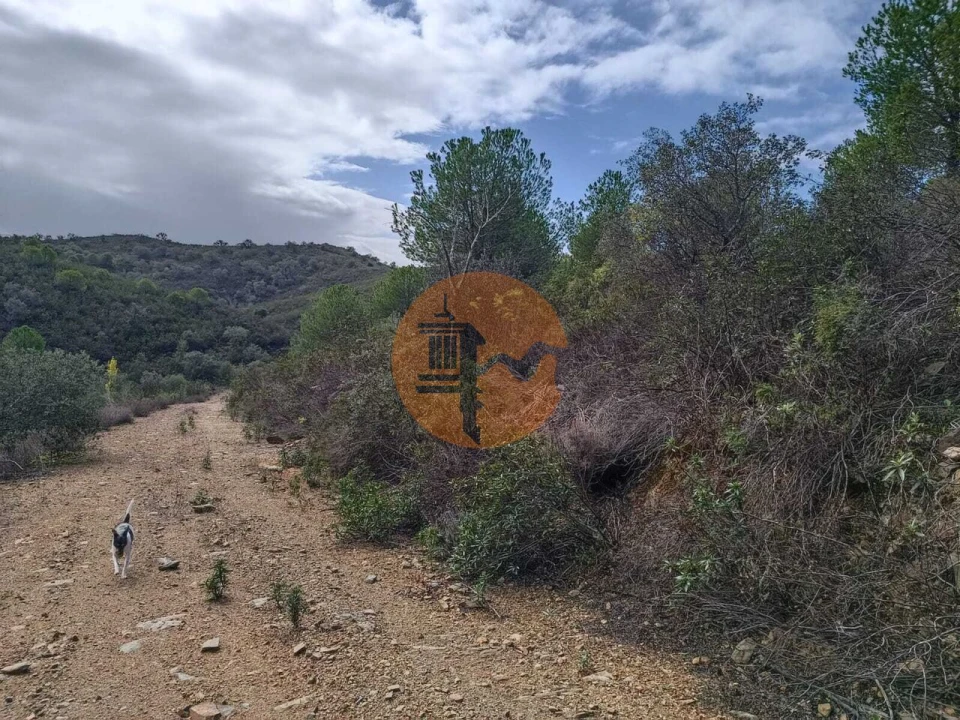 Terreno para Venda em Alcoutim e Pereiro Foto 13