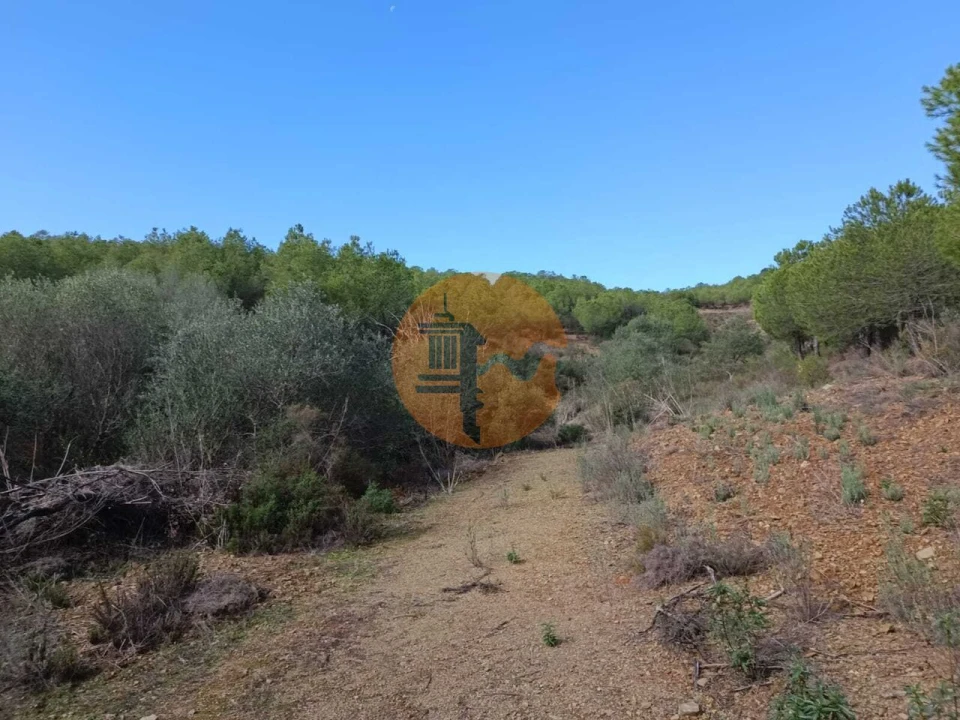 Terreno para Venda em Alcoutim e Pereiro Foto 15