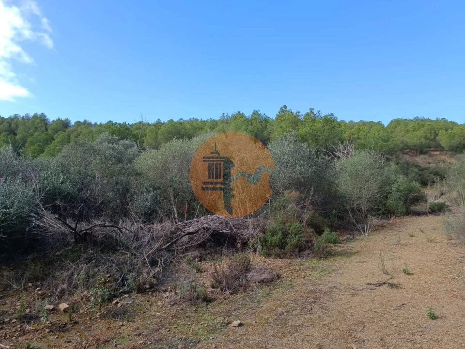 Terreno para Venda em Alcoutim e Pereiro Foto 19