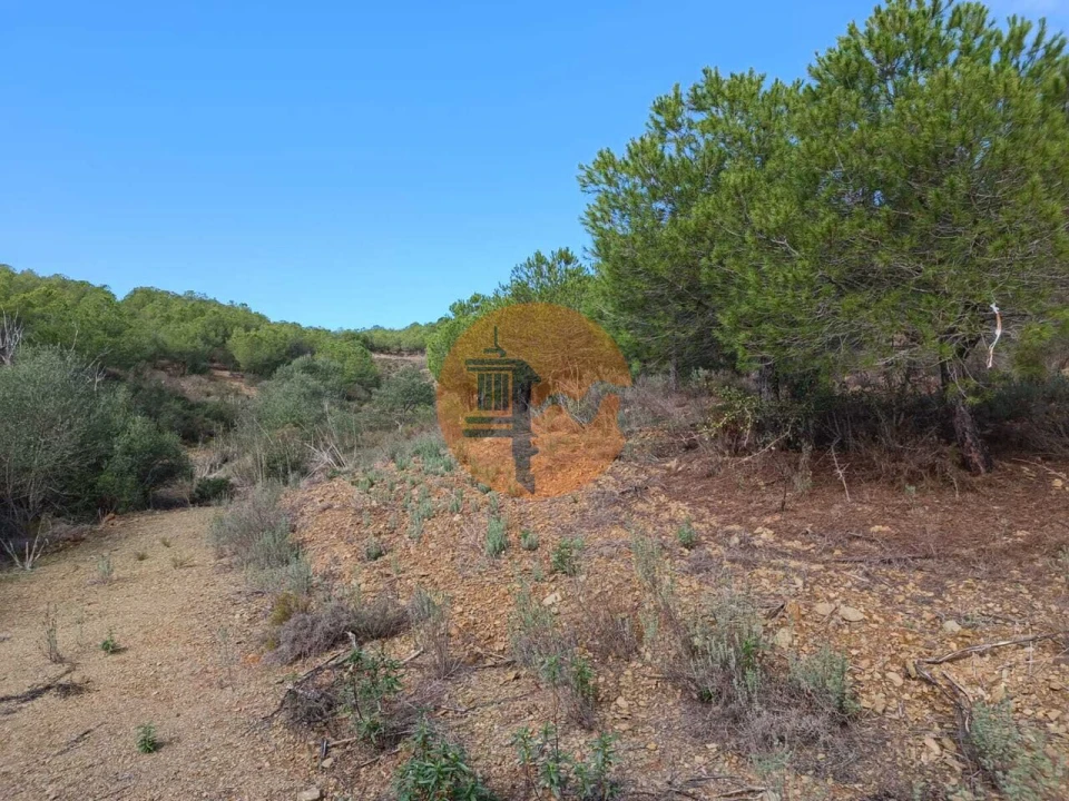Terreno para Venda em Alcoutim e Pereiro Foto 20