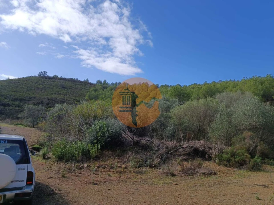 Terreno para Venda em Alcoutim e Pereiro Foto 22