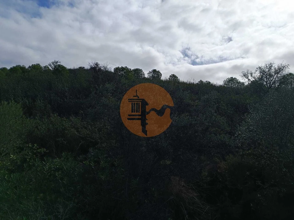 Terreno para Venda em Alcoutim e Pereiro Foto 26