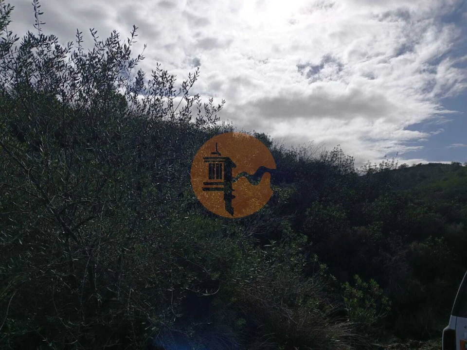 Terreno para Venda em Alcoutim e Pereiro Foto 28