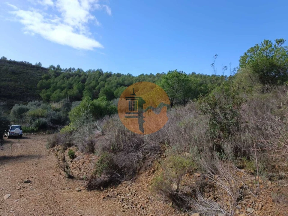 Terreno para Venda em Alcoutim e Pereiro Foto 32