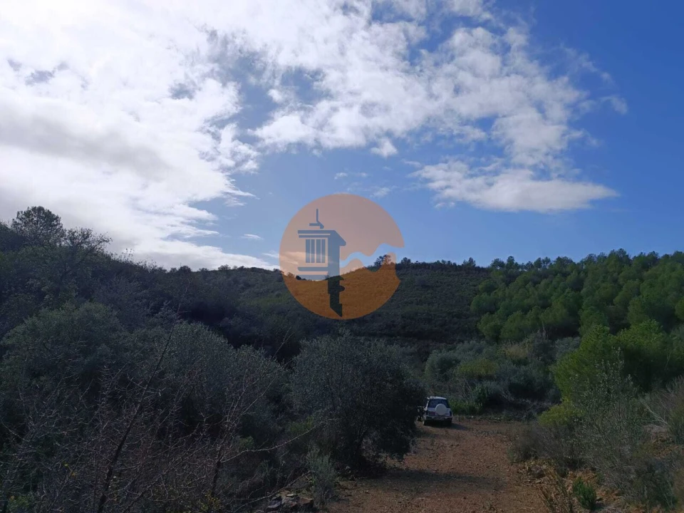 Terreno para Venda em Alcoutim e Pereiro Foto 33