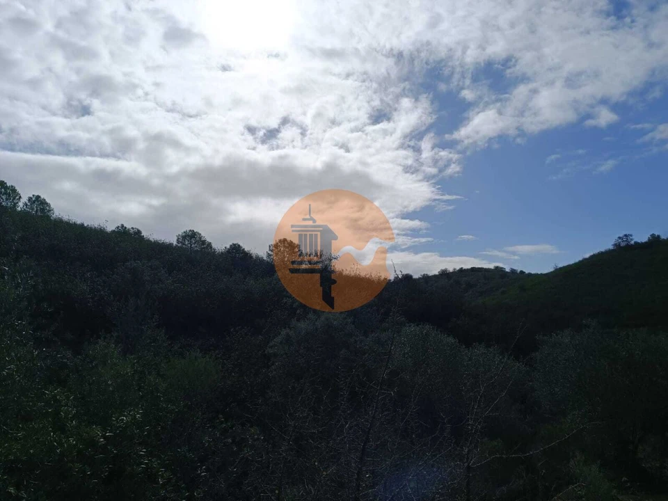 Terreno para Venda em Alcoutim e Pereiro Foto 34