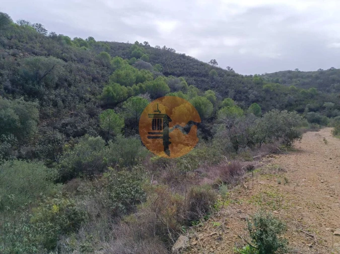 Terreno para Venda em Alcoutim e Pereiro Foto 4