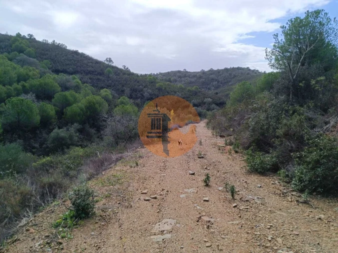 Terreno para Venda em Alcoutim e Pereiro Foto 7