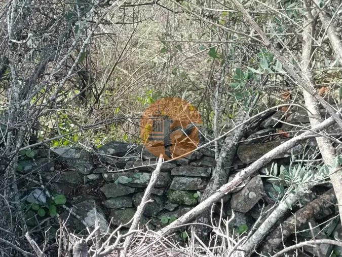 Terreno para Venda em Alcoutim e Pereiro Foto 10
